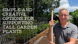 Simple & Creative Options for Supporting Tall Garden Plants