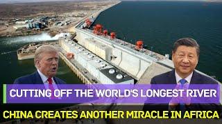 China Defies Western Predictions！Creating a Miracle in Africa in Just 6 Years！