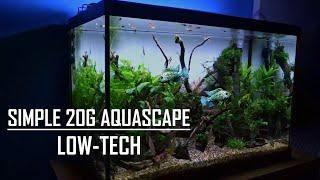 20 GALLON AQUASCAPE TUTORIAL | Easy, simple aquarium