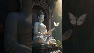 “마음이 맑으면, 길은 자비로워집니다” | 부처님말씀 | #명언  #자기수행