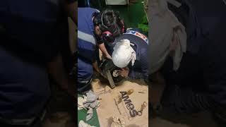 Гидравлический аккумулятор. Инспекция причины неисправности. Не держит давление.