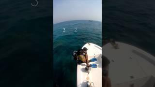 ️غواصی /تفریحات آبی /جزیره کیش /Kish Island Water Fun Diving /Diving️