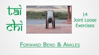 T'ai Chi by Sensei Sandeep Desai-  Forward Bend & Ankles.