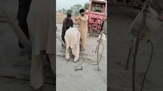 Tractor and Peter starting engine #shorts #experimnent #video