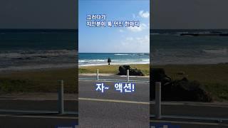 우리는 제주도에 산다