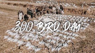 Snow Goose Hunting- GIANT RAINOUTS (300 bird day!)