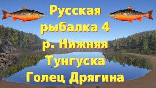 Русская рыбалка 4 • р. Нижняя Тунгуска Голец Дрягина • рулетка с призами рр4 от ЧокопайТВ