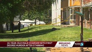 Teen charged with murder for fatal Des Moines stabbing