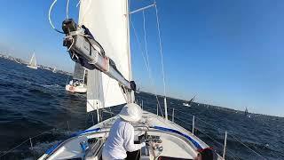 RPYC Wednesday Racing  - Great Winds, Excellent Sailing