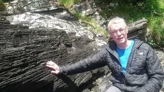 Earliest ancestors of the animals at Diabaig, Torridon