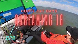 Hobie 16 absolutely sending it on screaming reach - HOBIE CAT DAYS