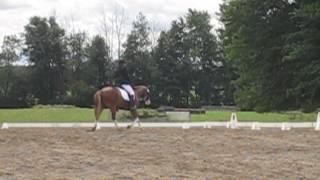 JW Michigan Summer Dressage 2013