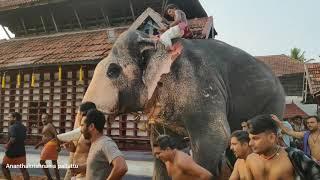 Thiruvarppu Aanayottam Brahmadathan