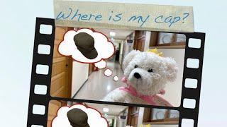 Where is my cap? | English for Kids