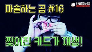 [제주도 마술하는곰] 찢어진 카드조각들이 다시 붙는다?! 놀라움의 연속 카드 재생 마술!!