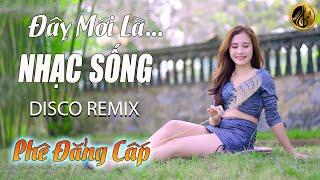 LK Nhạc Sống DISCO REMIX 2024 Mới Đét | Đây Mới Là Nhạc Sống Disco Thôn Quê Phê Đẳng Cấp