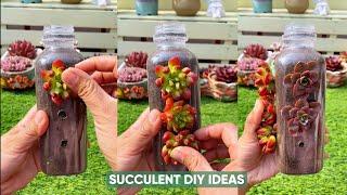 Turn Trash Into TRENDY Succulent Planters!