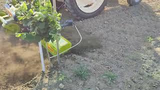 Calderoni fps 104 freza s ticalom u nasadu lijeske / cutter with a tentacle in a hazelnut grove