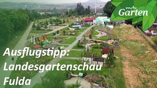 Landesgartenschau Fulda: Darum lohnt sich ein Besuch in Hessen | MDR Garten