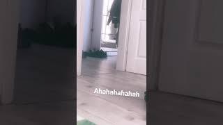 Ahajahahaha