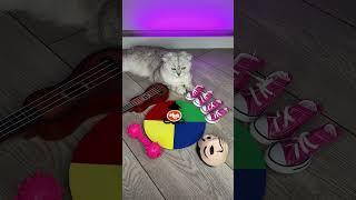 КОШКА СОНЯ ИГРАЕТ НА ГИТАРЕ
