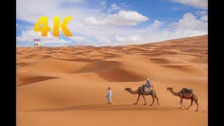 #023 "Sahara Desert, Morocco" in 4K (サハラ砂漠・モロッコ） 世界一周6カ国目