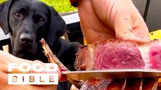 Outdoor Cooking With My Dog  | FOODbible