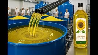 How Is Sunflower Oil Produced - Amazing Factory Process and Harvest of Billions of Sunflowers