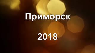 ДЗОВ "Меотида" 1 смена 2018 (Часть 1)