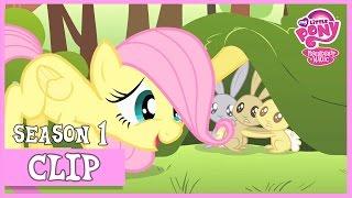 Fluttershy's Cutie Mark Story (The Cutie Mark Chronicles) | MLP: FiM [HD]