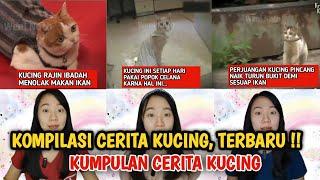 KUCING RAJIN IBADAH MENOLAK MAKAN IKAN KOMPILASI CERITA KUCING, TERBARU !! @Weni Noto