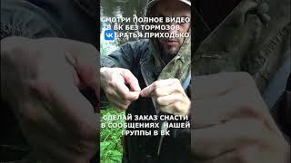 Мухи ловят хариуса #хариус #рыбалка #рыба #рыбак #мушки  #мушкинахариуса