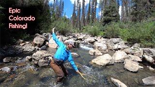 The TOP 10 fishing spots in Colorado - McFly Angler Fly Fishing