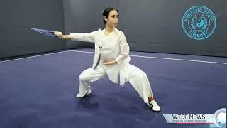 Master Hung Xueqin TaijiFun Demonstration at 2nd International Taiji Science Forum