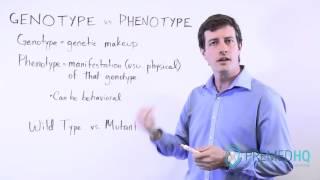 Genotype vs Phenotype