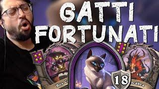 GATTI FORTUNATI! | Hearthstone Battlegrounds Ita