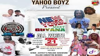 NEW YORK MEETS GUYANA ALL WHITE PARTY DEC 21ST  PROMO CD BY BOBBY KUSH  JEROME