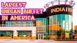 ALL 101 Indian Food Items - Largest Indian Buffet In America - INDIA 101