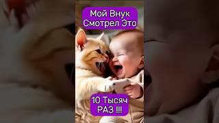 Этот кот рассмешил всех до слёз!