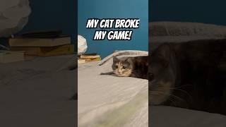 My cat broke the game... :| #devlog #gamedev #indiegame