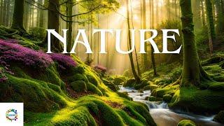 Nature , 4K Full HD 60Fps, Ocean, Mountains, Waterfalls, Flowers