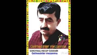 Gelmesinler mezarıma