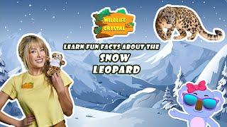 Snow Leopard Facts