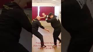 Unlocking Mastery: Explore the Intricacies of Praying Mantis Kung Fu Xiao Fan Che Application 14! 