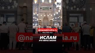 Ислам - это образ жизни. #насаатмедиа #rec #rek #film #шейх_чубак_ажы #live #чубакажы #ислам #насаат