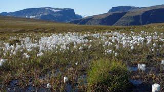 Trekking in Nordreisa: Pilteridalen, Čillagáisá, Fávrresvárri & more