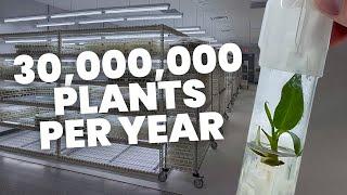 Private Tour of a HUGE Tissue Culture Lab