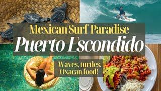 Puerto Escondido, Oaxaca - Visiting Best Surf Town in Mexico to Surf and Release Baby Turtles