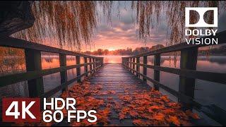 A Journey to the RAW BEAUTY of Nature in 4K HDR 60fps Dolby Vision