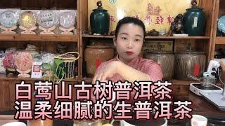 2022年白莺山古树普洱茶，清香宜人，口感温柔细腻，花果香浓郁！